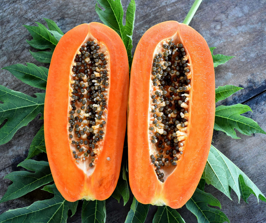 Parrot Superfoods: Top 5 Nutrient-Rich Foods for Your Parrot