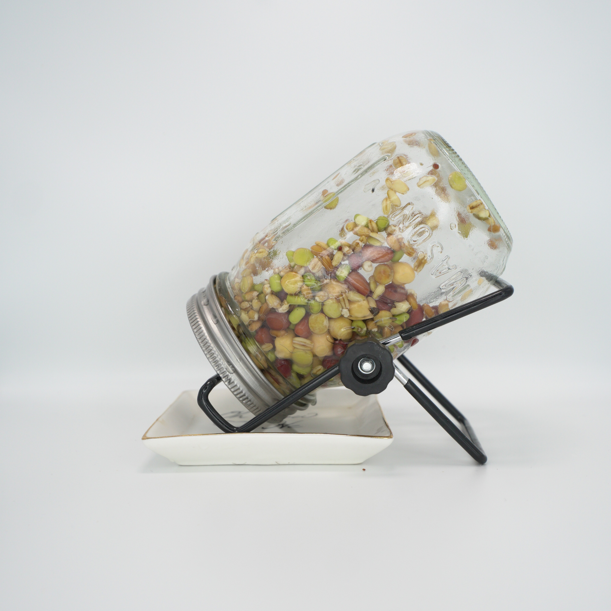 Soaking and sprouting seeds for parrots