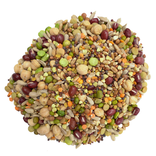 Super Sprouts - 100% Organic Sprouting Mix For All Sized Parrots