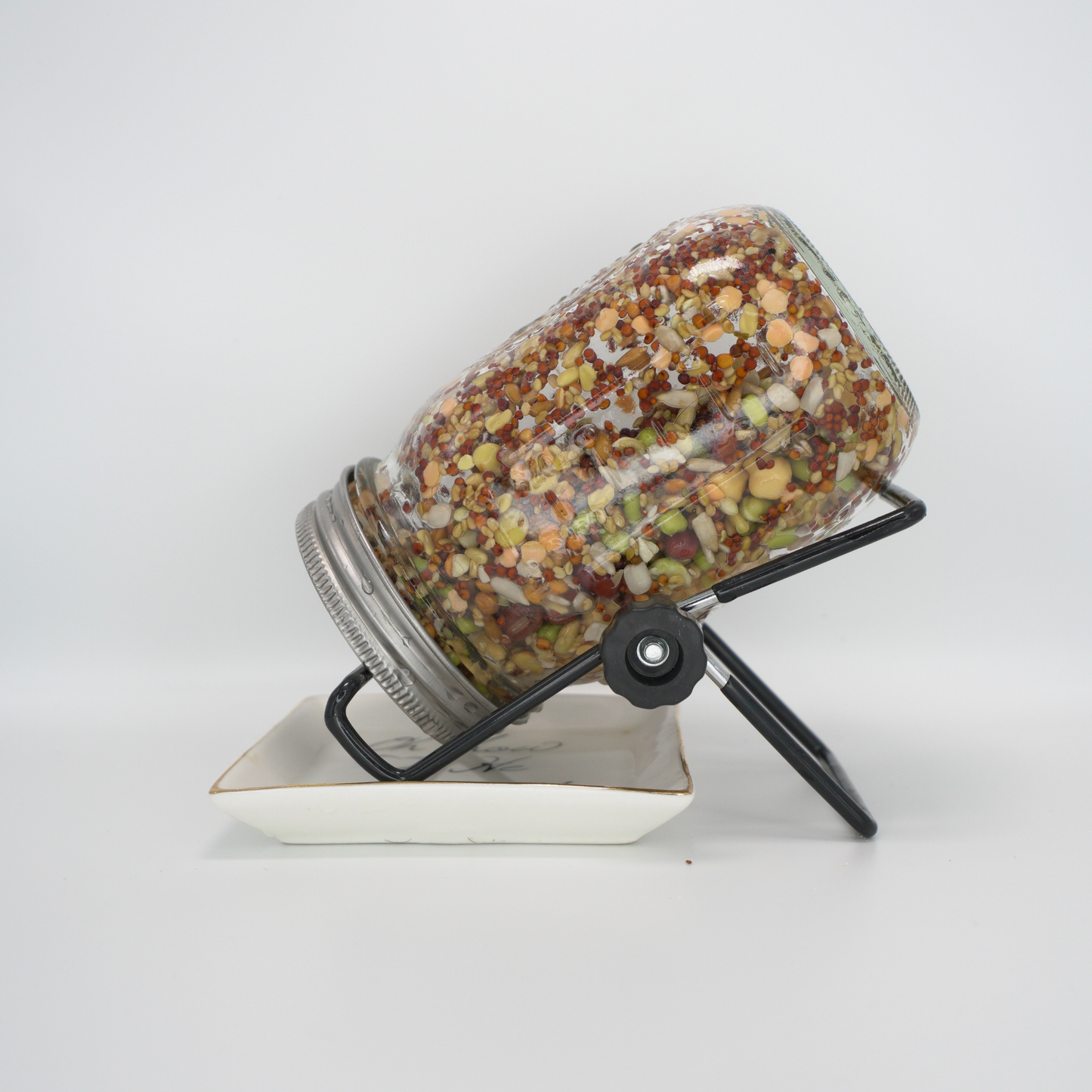 Super Sprouts - 100% Organic Sprouting Mix For All Sized Parrots