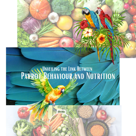 Unveiling the Link Between Parrot Behaviour and Nutrition