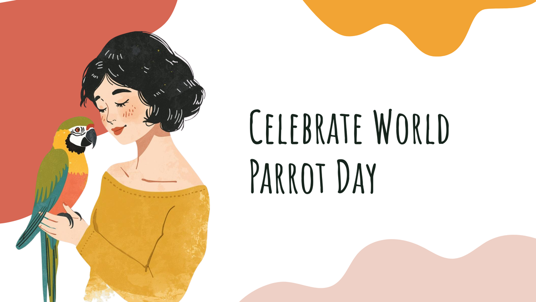 World Parrot Day - Best Parrot Food and Healthy Diet Tips for Bird Owners