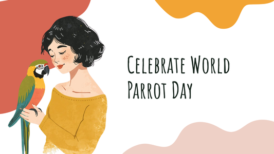 World Parrot Day - Best Parrot Food and Healthy Diet Tips for Bird Owners
