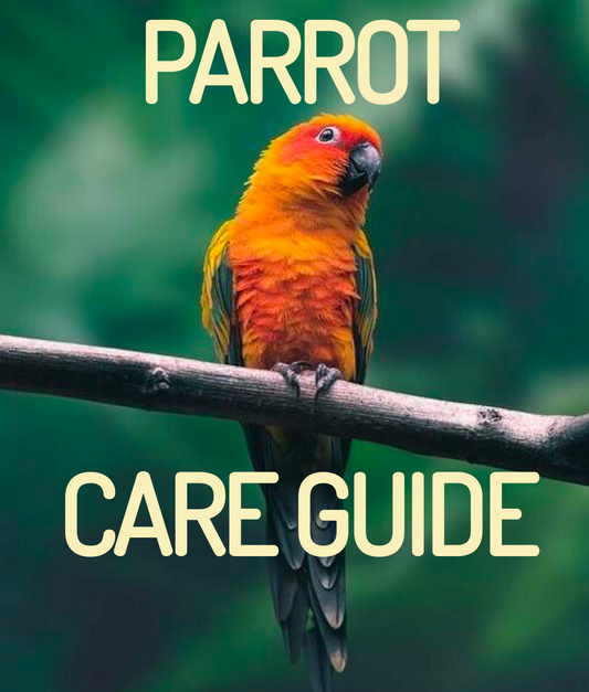 The Ultimate Guide to Parrot Care