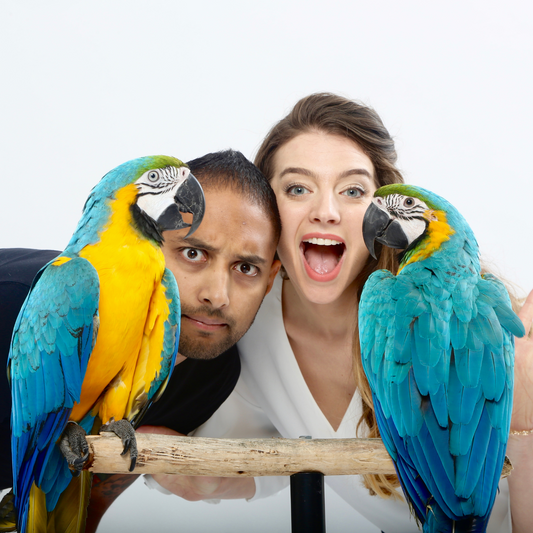 Personalised video with Mikey, Mia and the humans