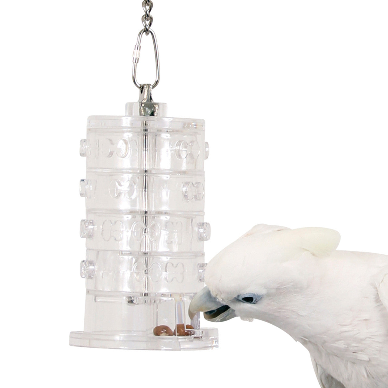 Rings of Fortune - Advanced Foraging Toy for Parrots